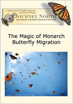 Teaching Suggestions: The Magic of Monarch Migration