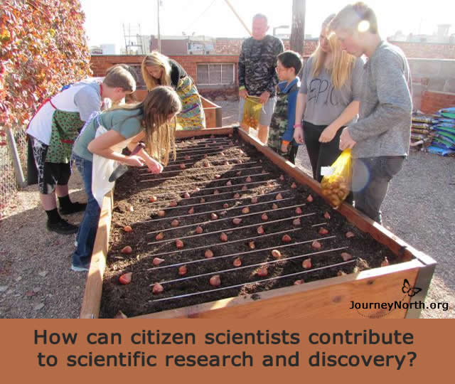 Infographic asking: How can citizen scientists contribute to scientific research and discovery?