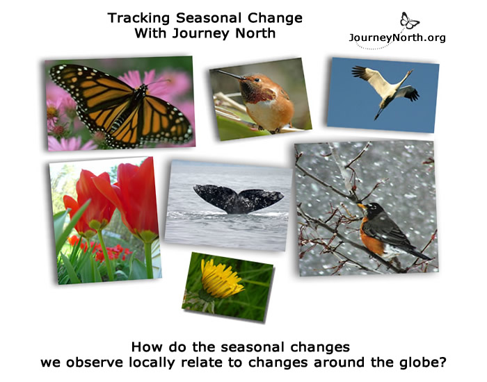 Infographic asking how do the seasonal changes we observe locally relate to changes around the globe?