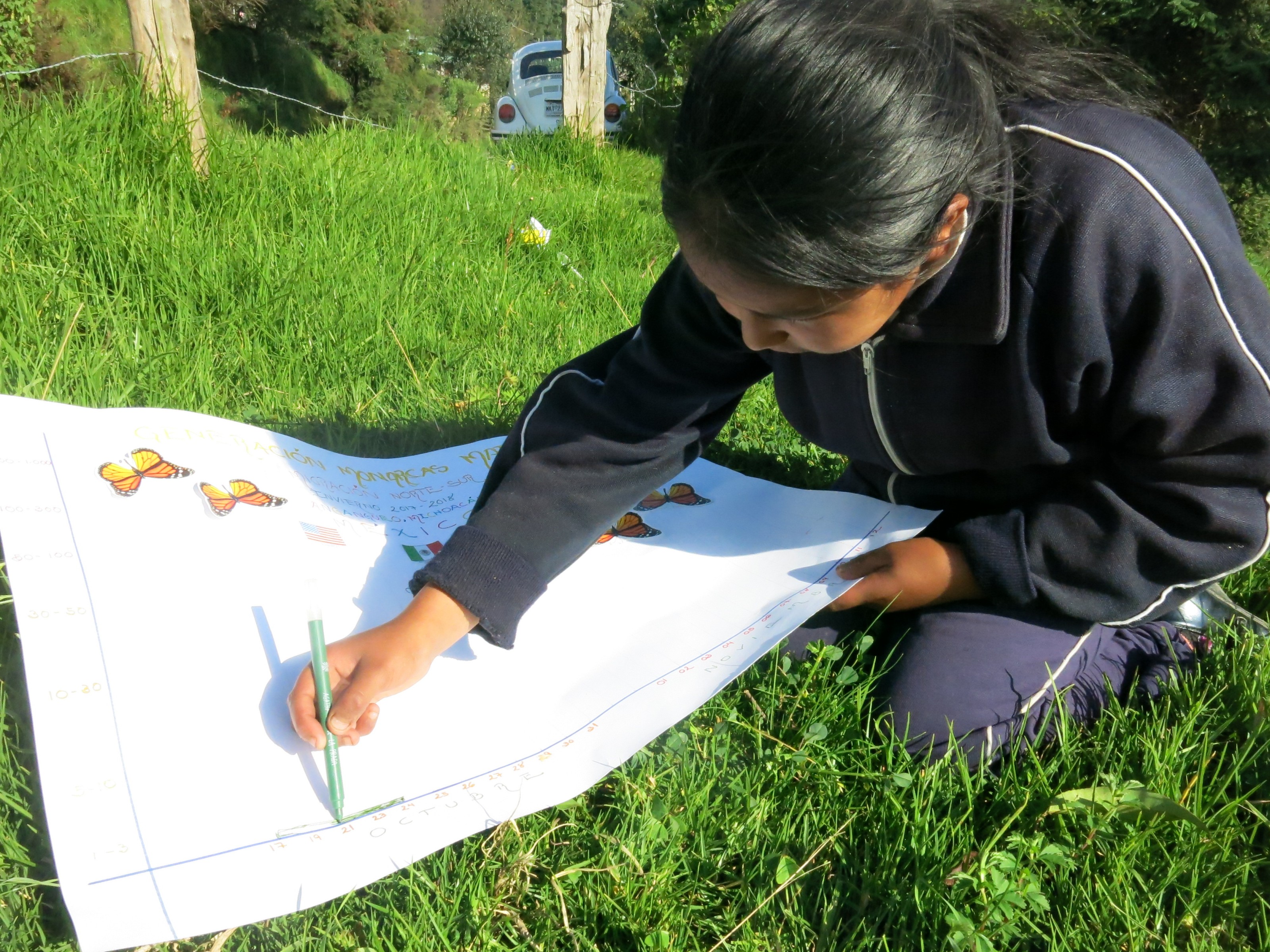 Children in Mexico Monitoring the Monarch's Arrival