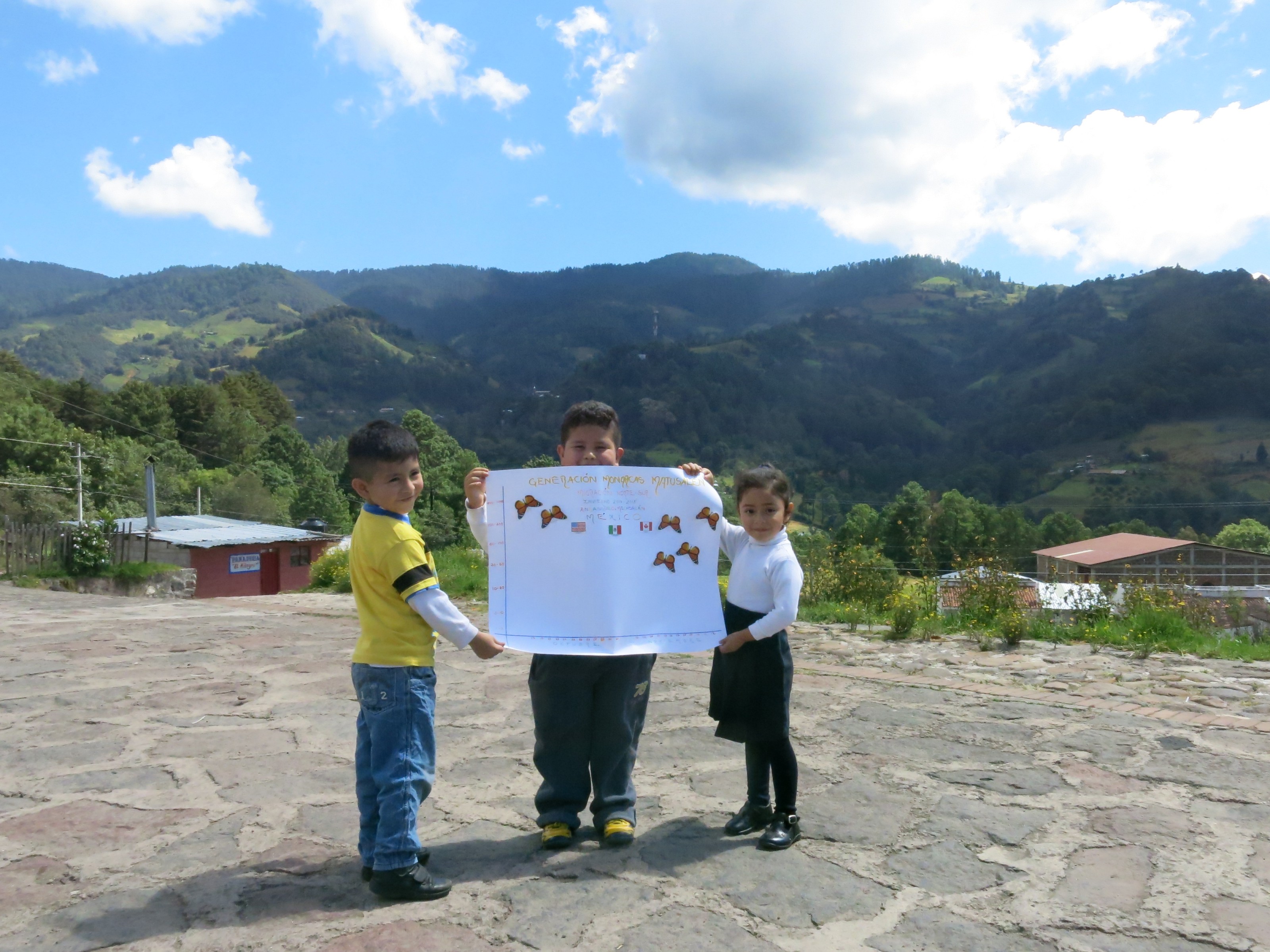 Monitoring the Arrival