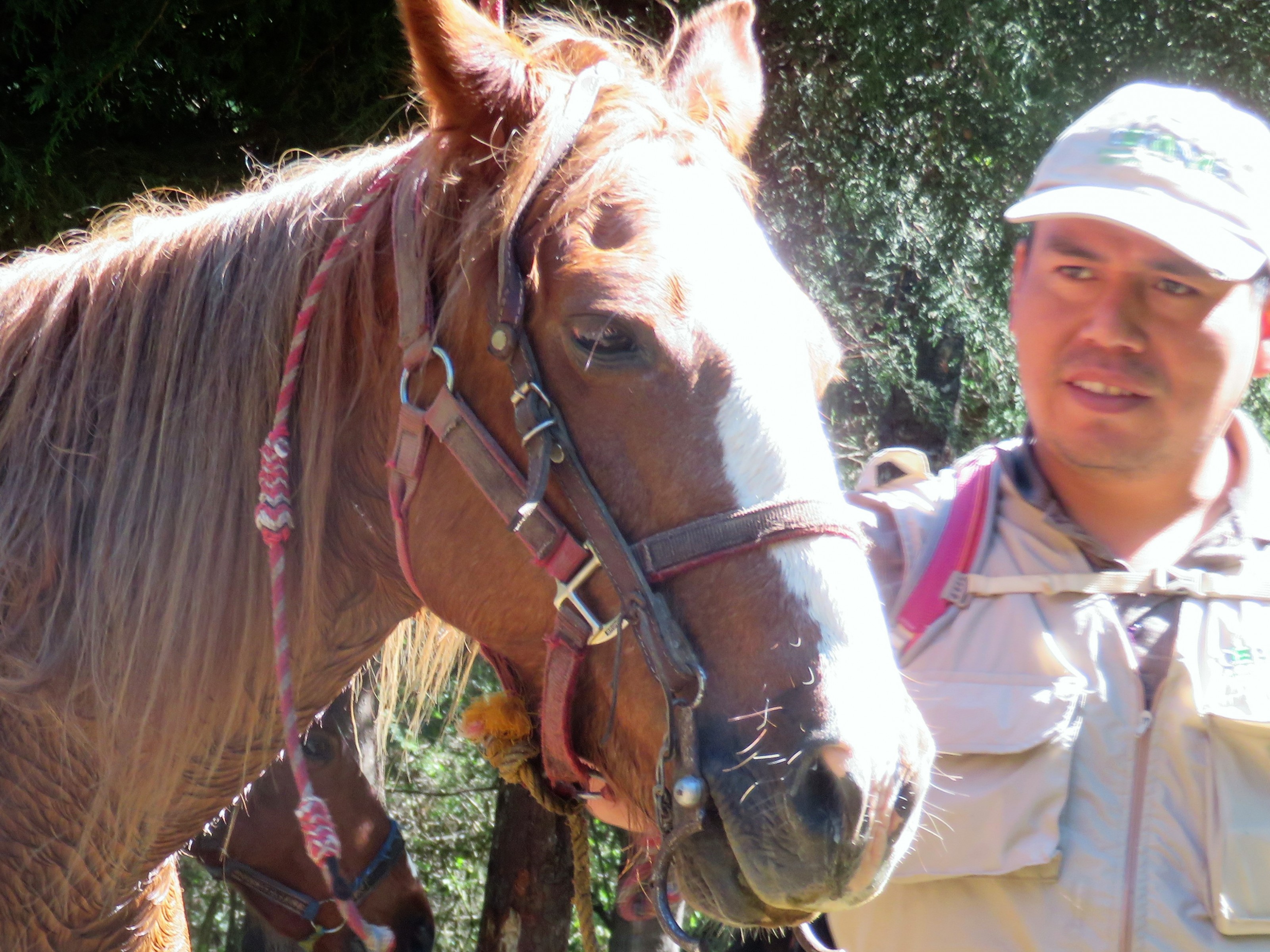 Pato Moreno of Cerro Pelon Sanctuary