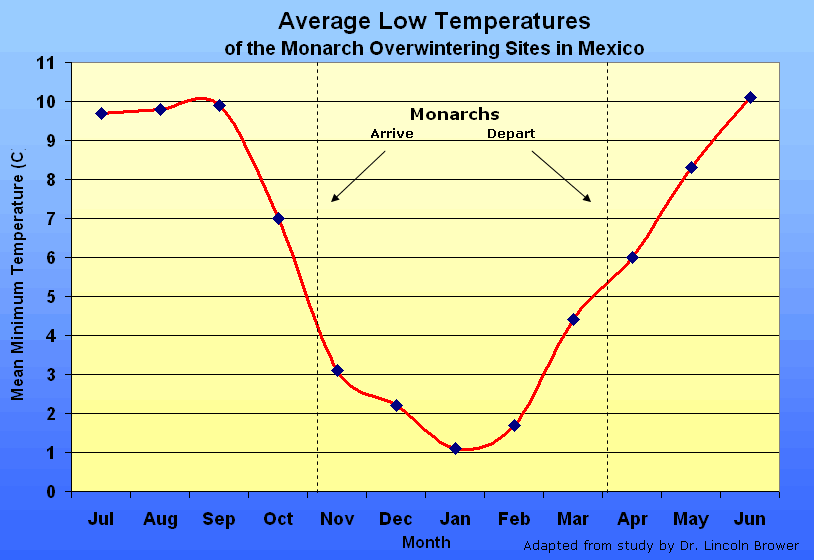 Temperature and Winter Survival