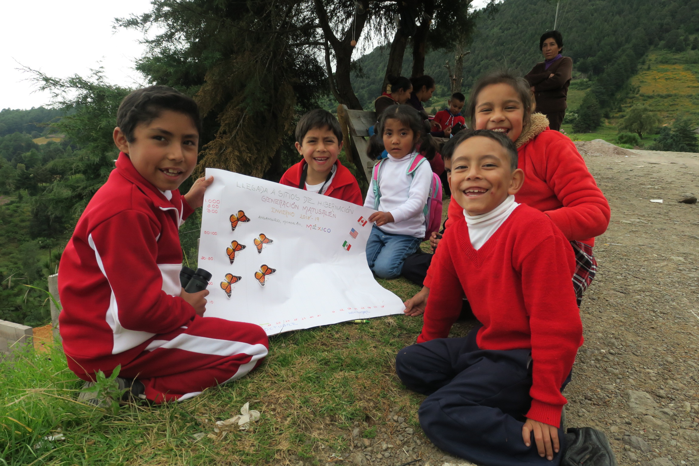 Monitoring the Monarch's Arrival in Mexico