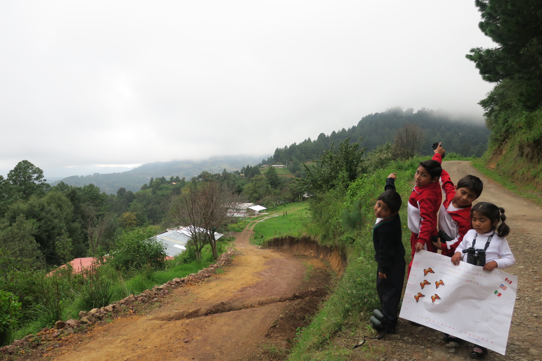 Monitoring the Monarch's Arrival in Mexico