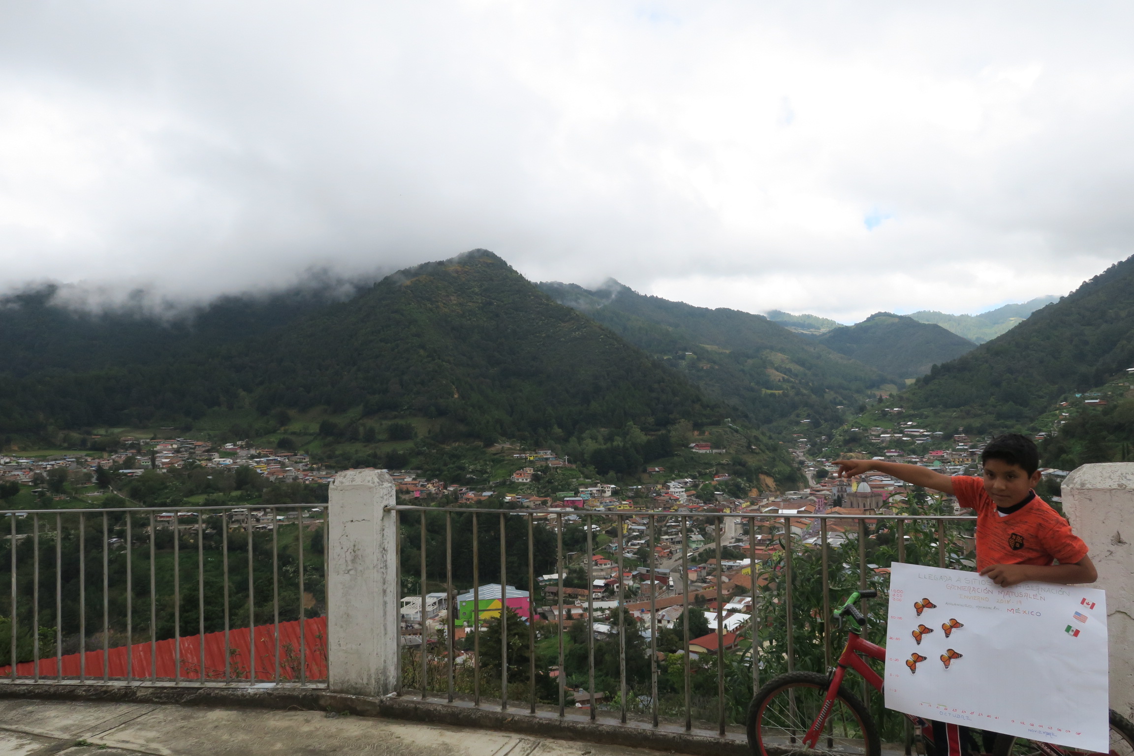 Monitoring the Monarch's Arrival in Mexico