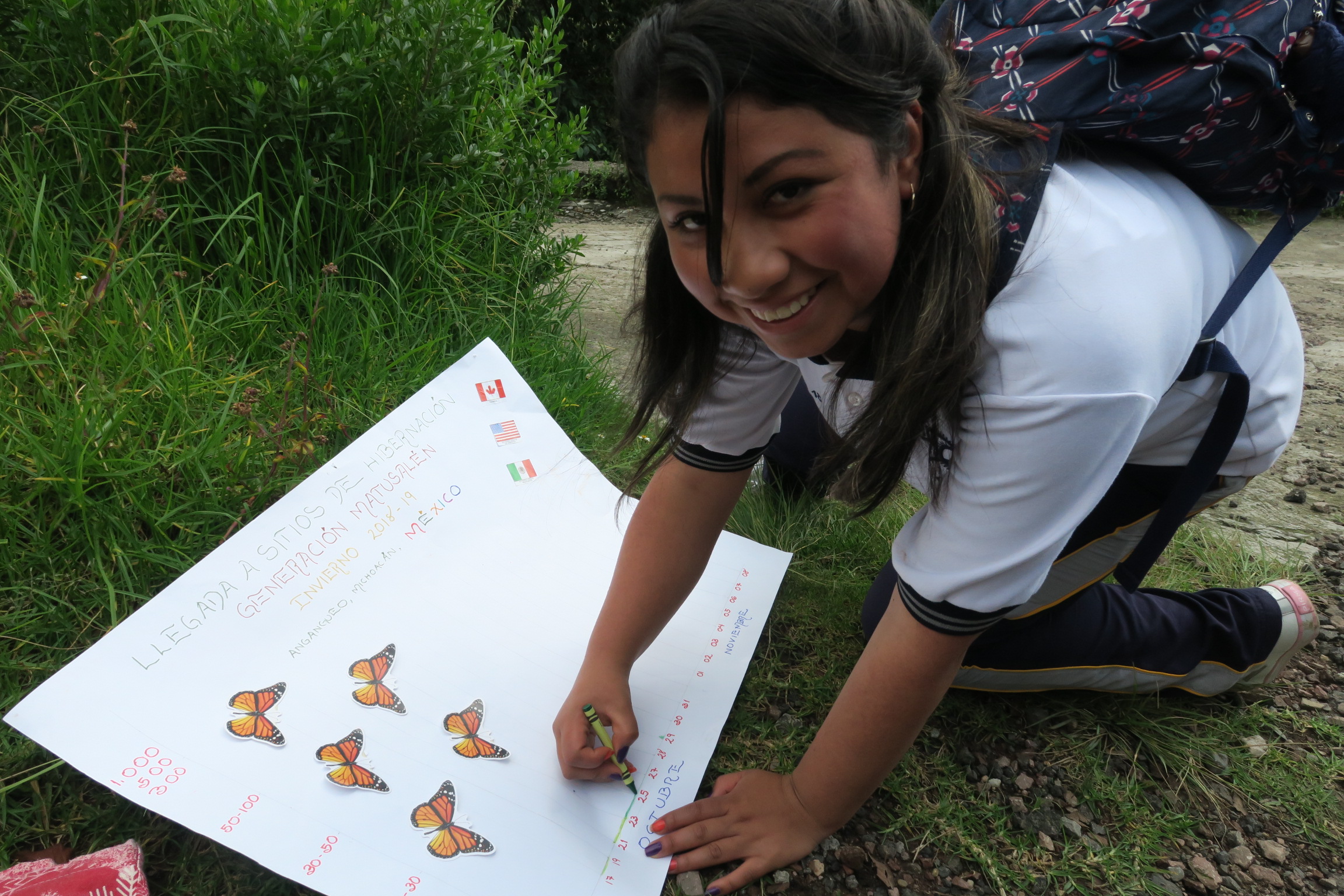 Monitoring Arrival 02