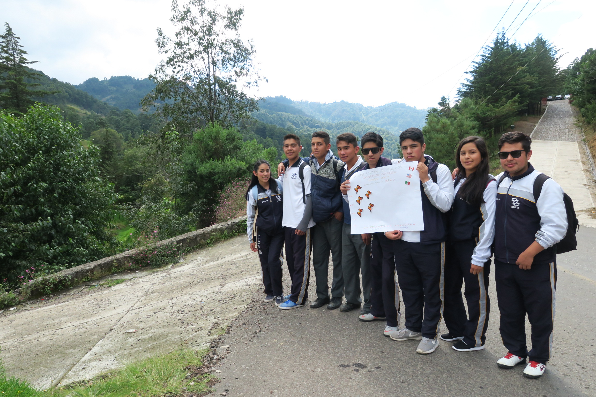 Monitoring the Monarch's Arrival in Mexico