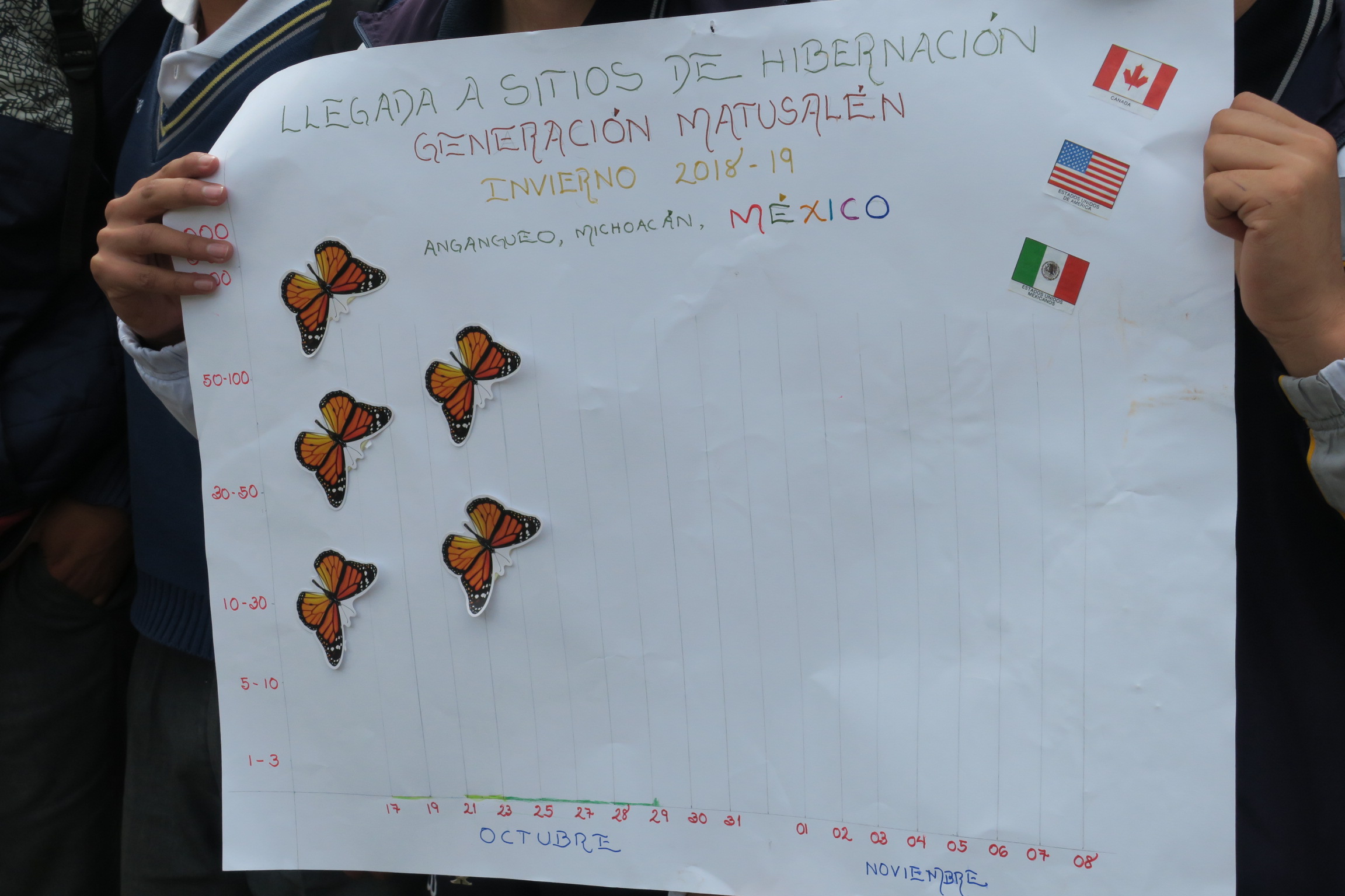 Monitoring the Monarch's Arrival in Mexico