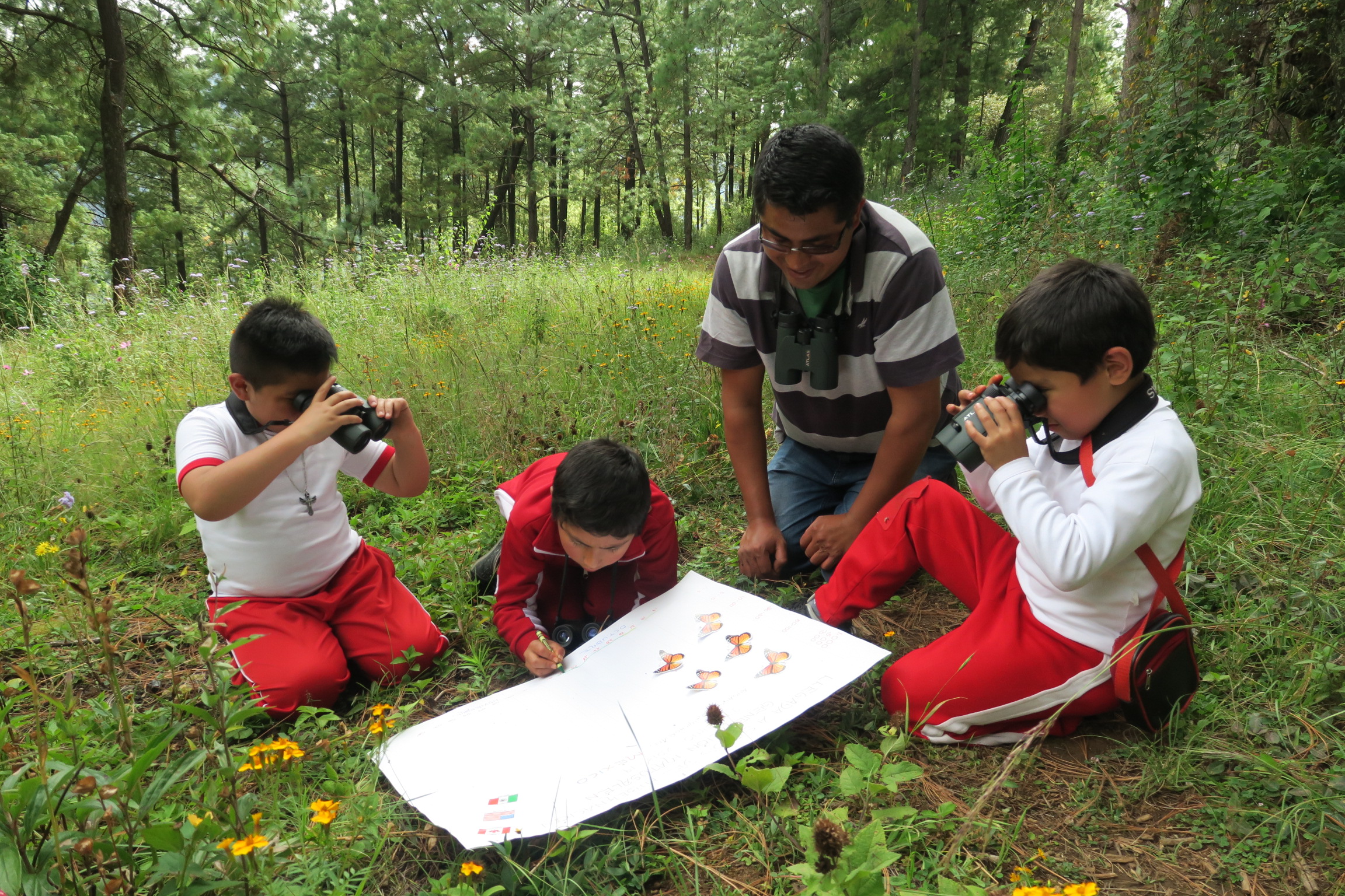 Monitoring the Monarch's Arrival in Mexico
