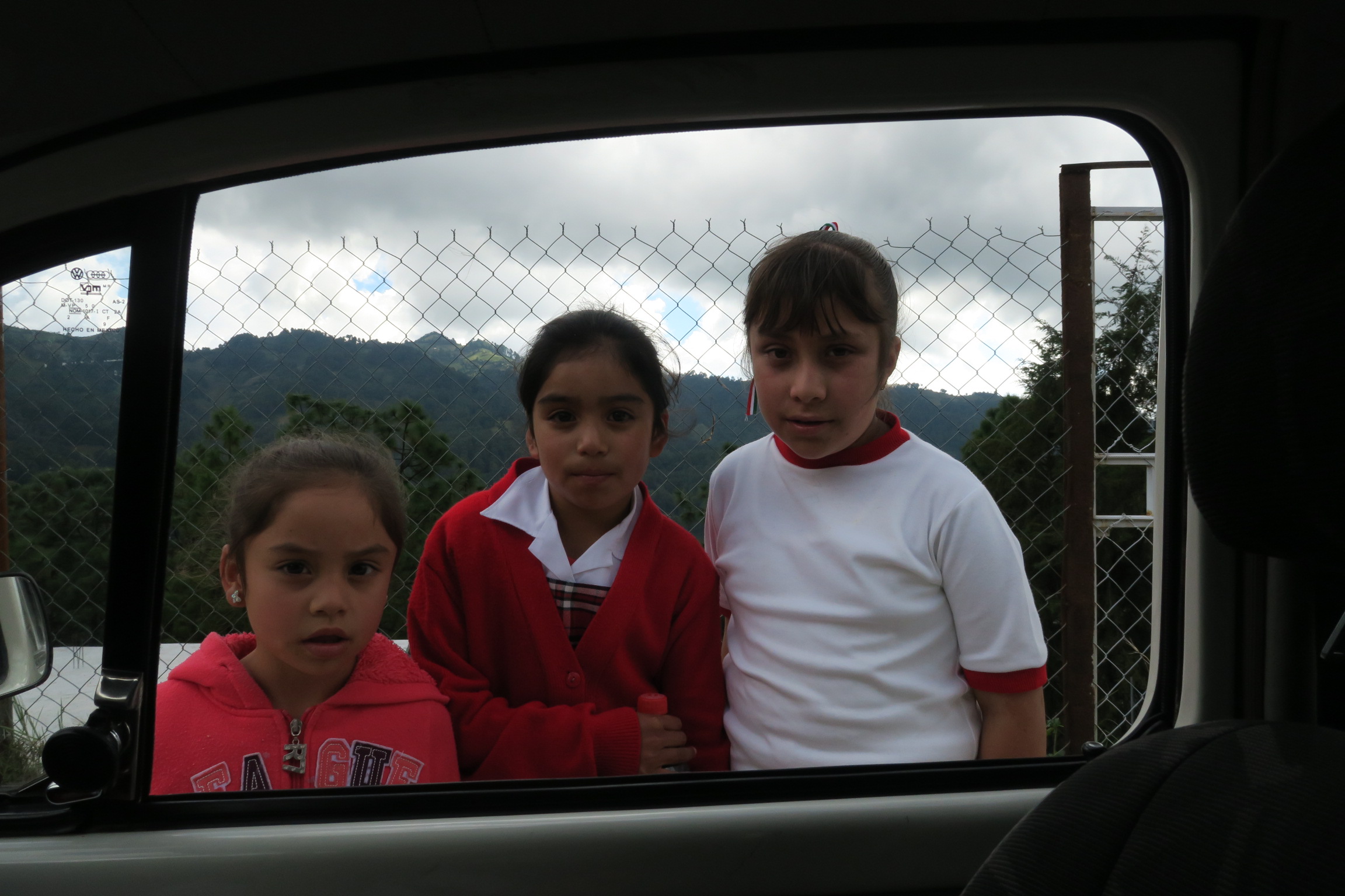 Monitoring the Monarch's Arrival in Mexico