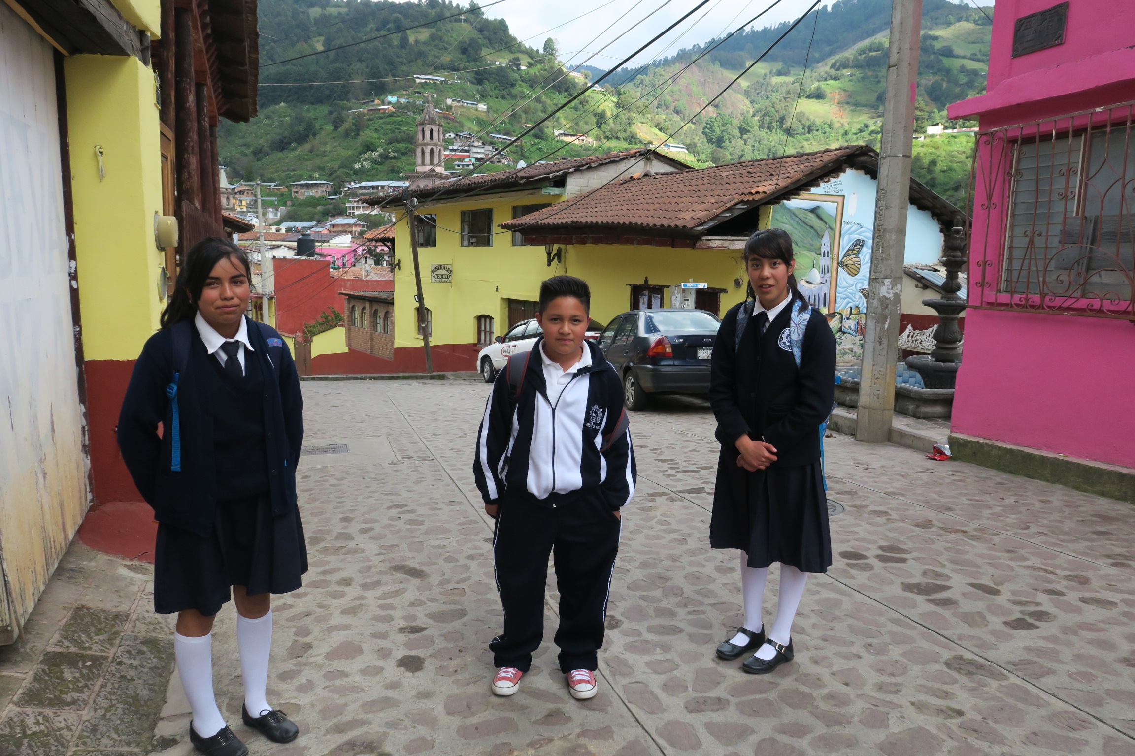 Monitoring the Monarch's Arrival in Mexico