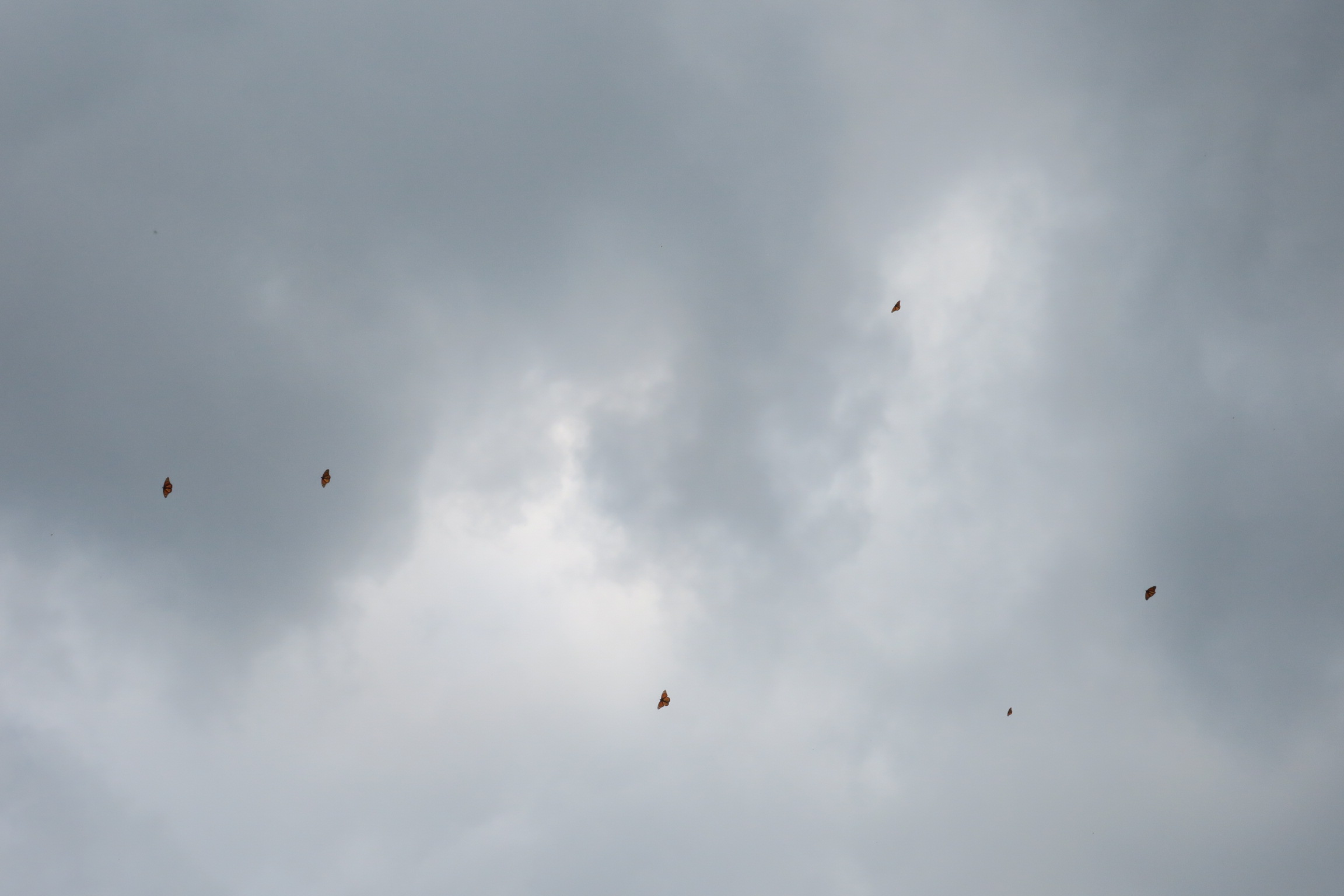 11/07/18: The Arrival 02