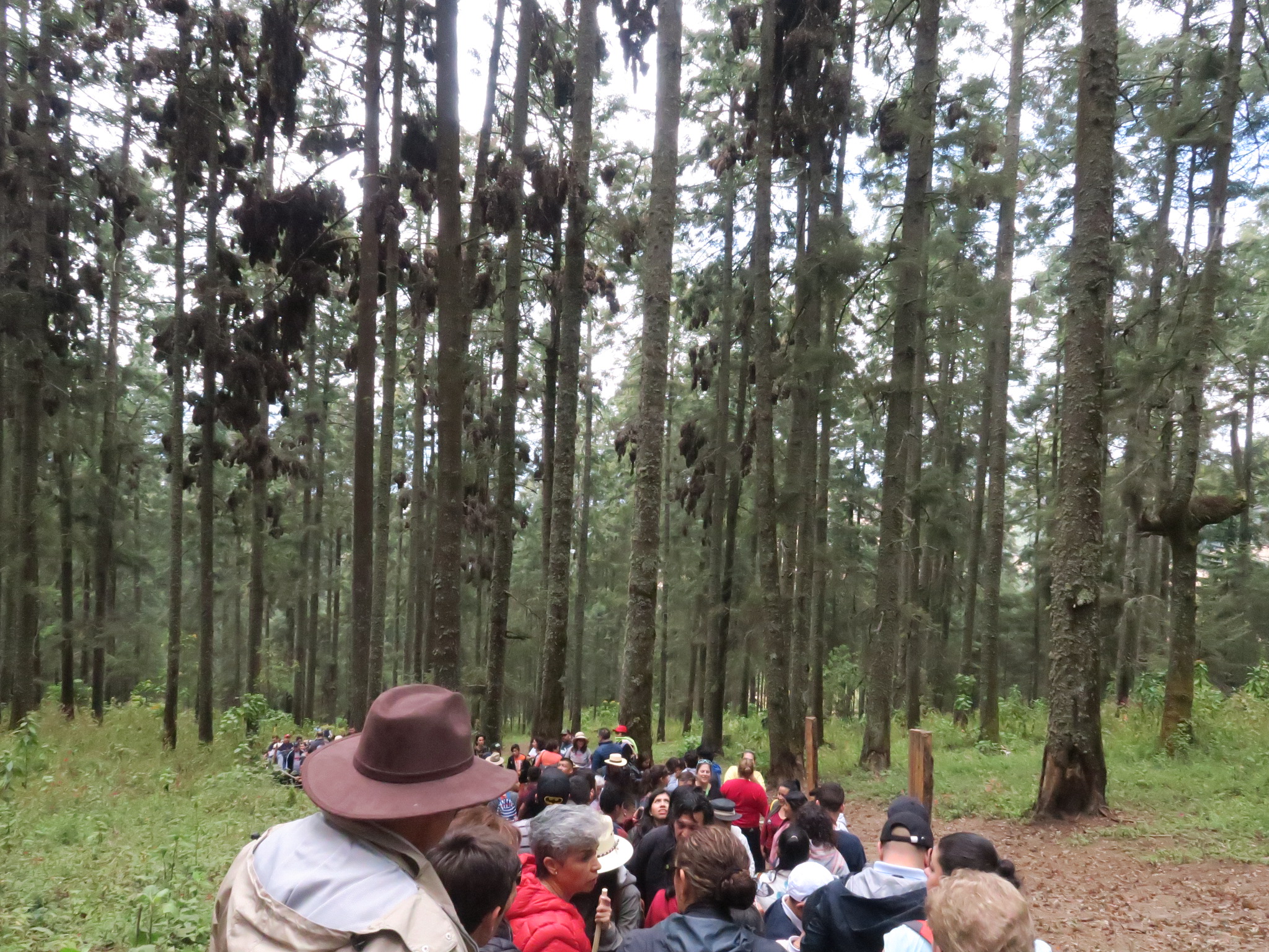 El Rosario Sanctuary