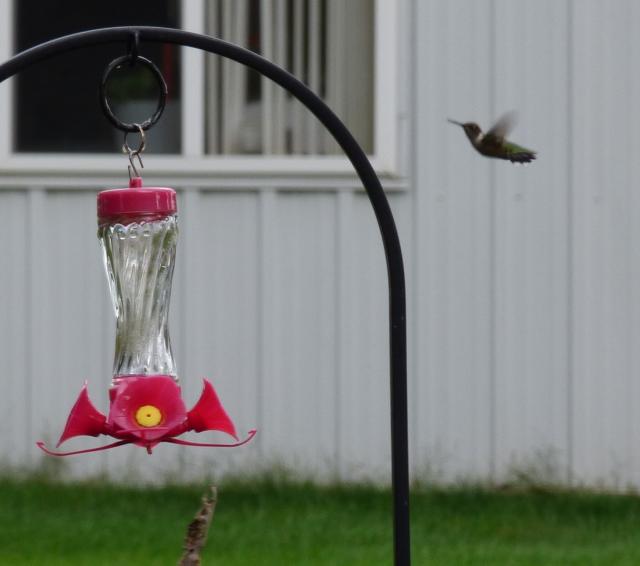 Arrived before storm front