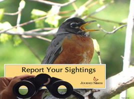 Robins Report Your Sighting
