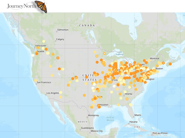 Map: First Robin Seen in Spring 2020