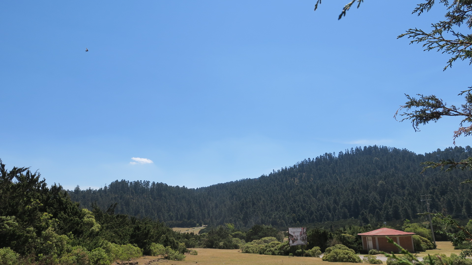 mountains of mexico