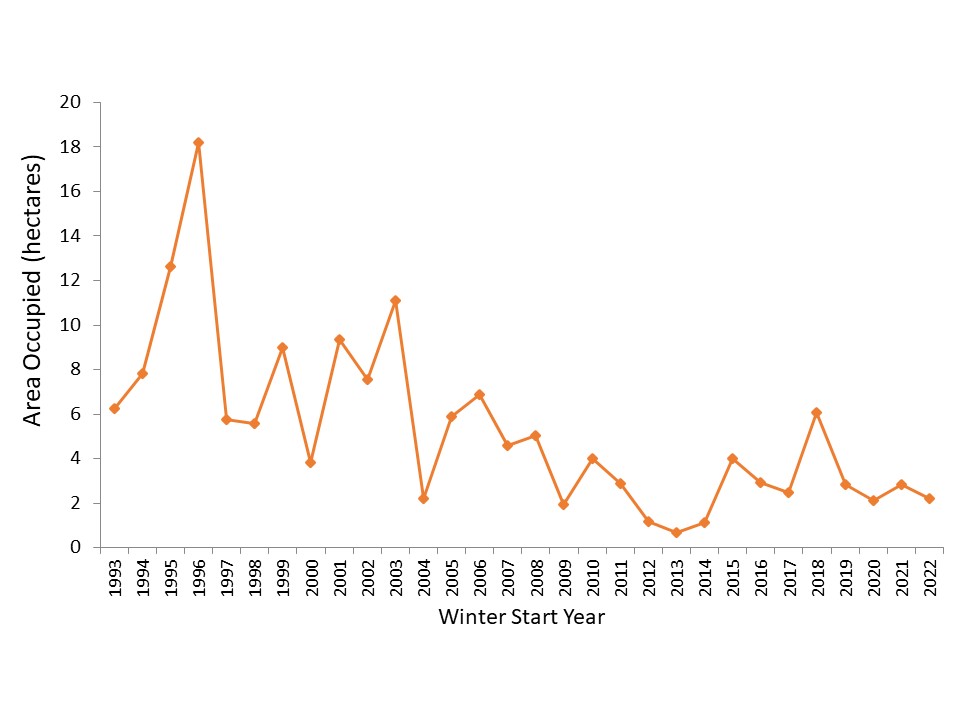 monarch population figures