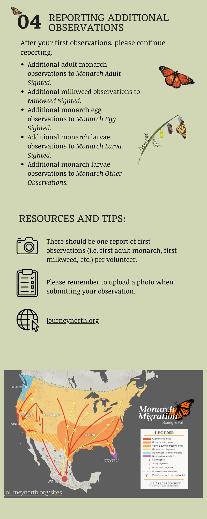 monitoring monarch migration