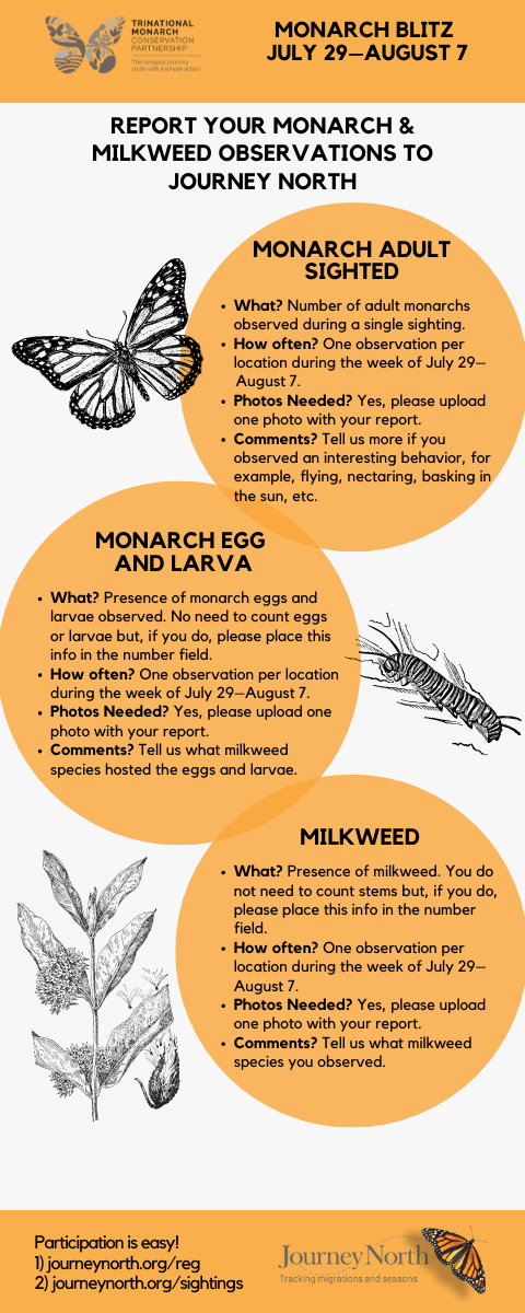 2022 Monarch Blitz infographic