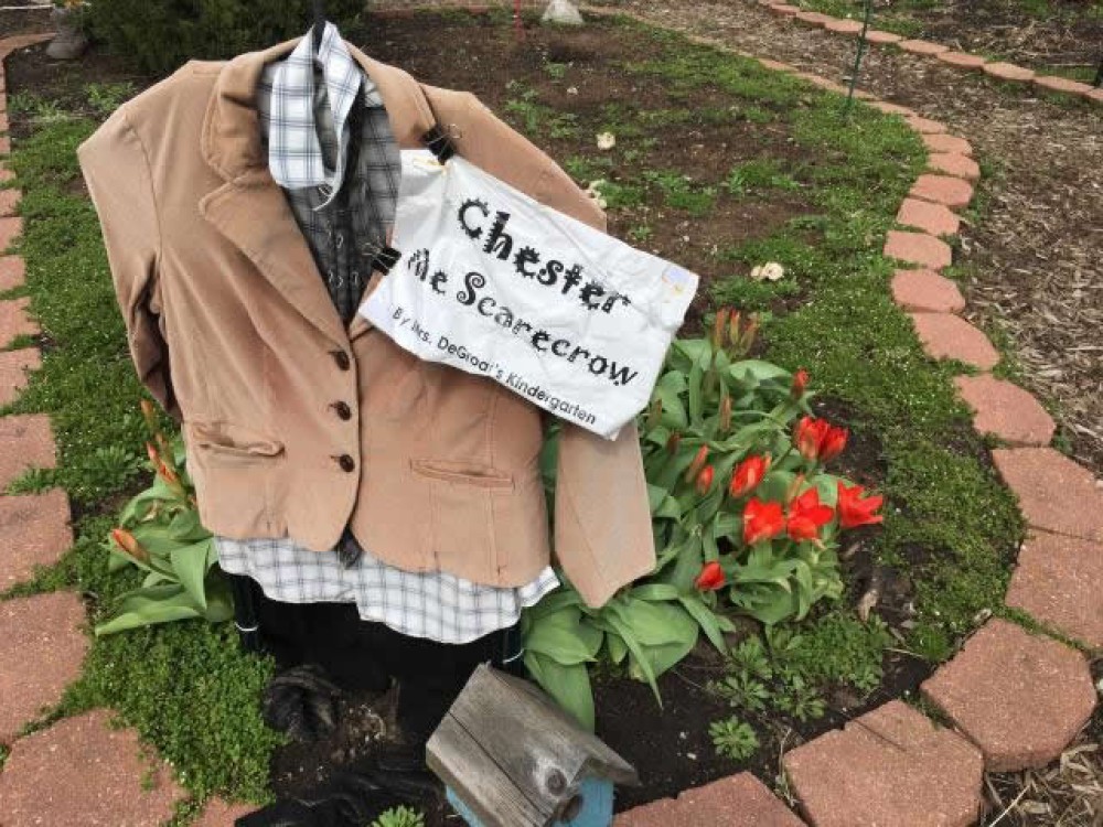 Picture of a scarecrow in the tulip garden