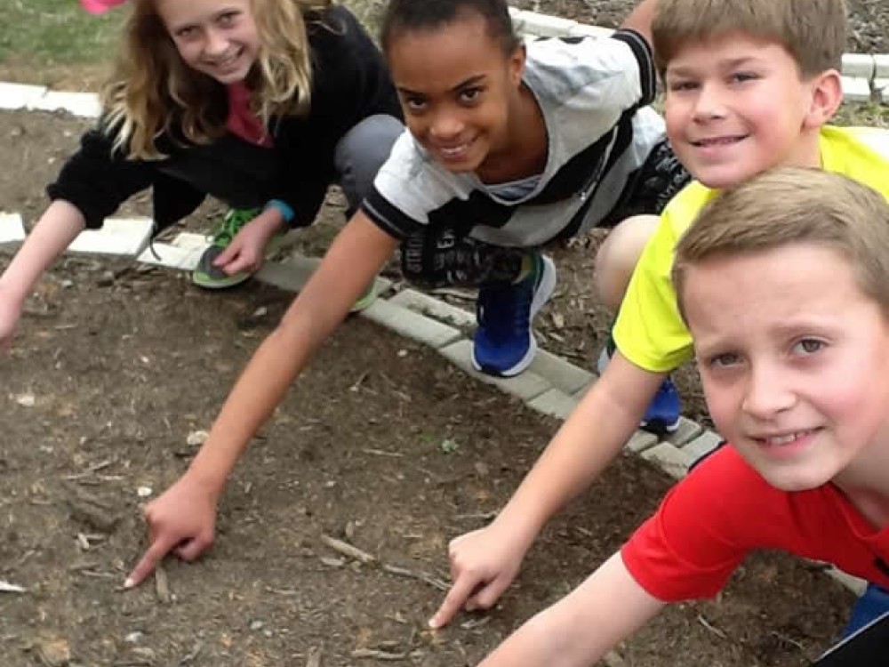 Photo of children examining the garden