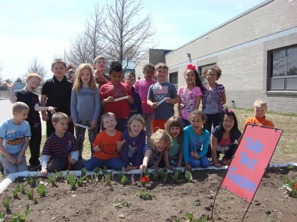 Photo of students observing flowering tulip