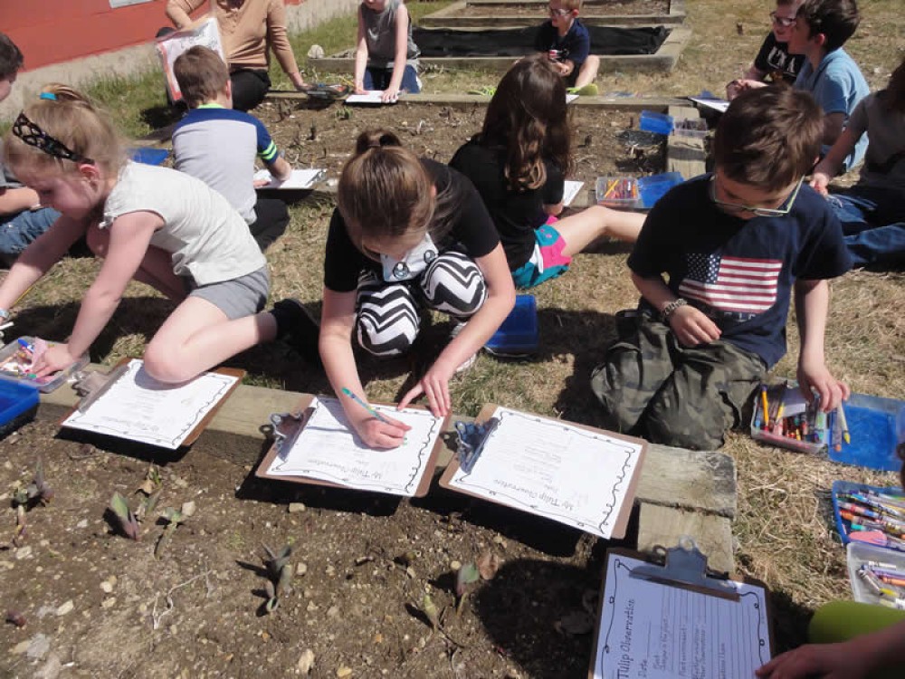 Photo of students in the garden and emerging tulips 