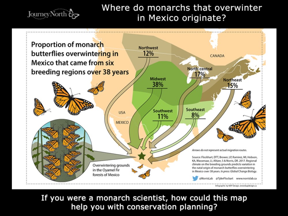 Journal Where Monarchs Originate?