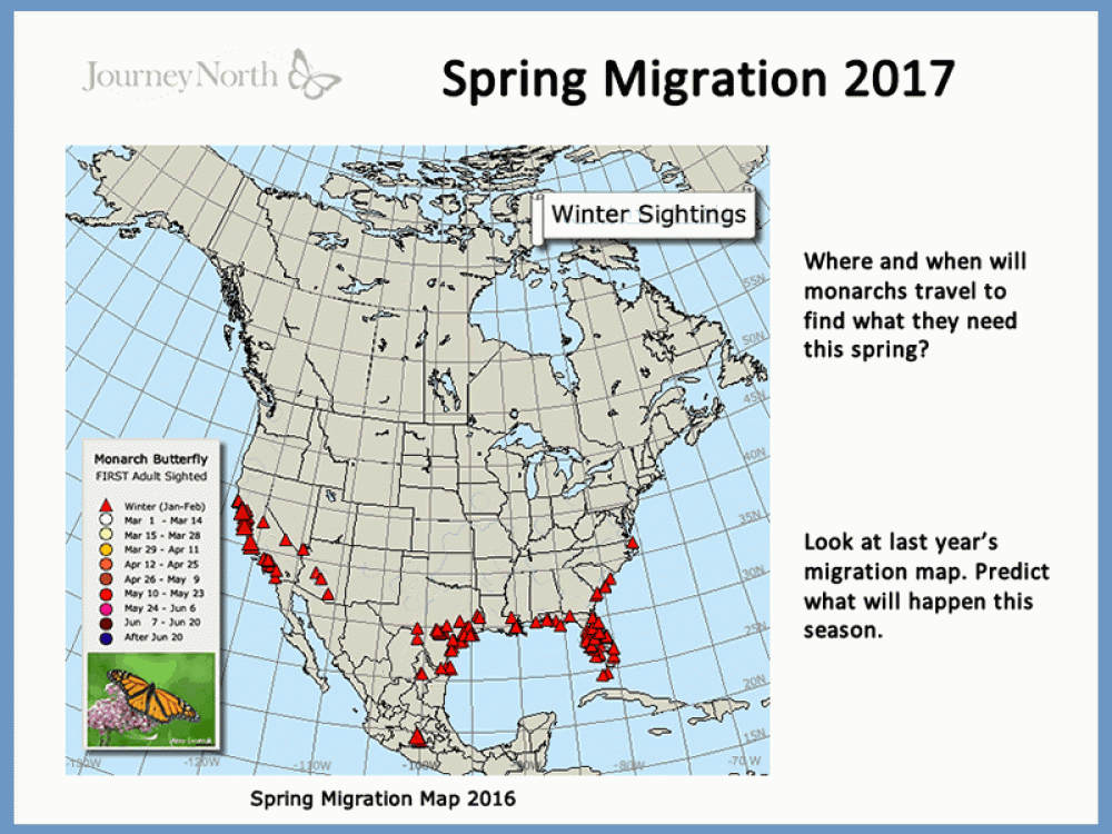 Spring Migration Prediction Map