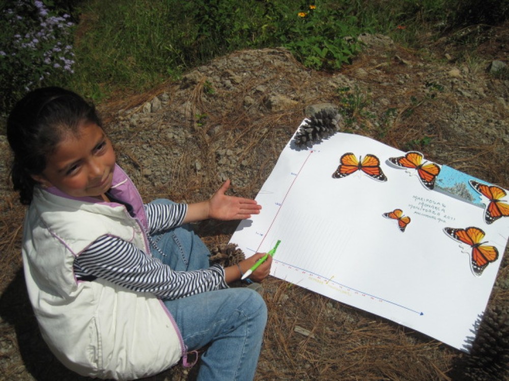 Backyard observations help scientists explore how monarchs respond to weather, climate and the changing seasons. This information reveals interconnections in nature, and how changes can affect ecosystems.