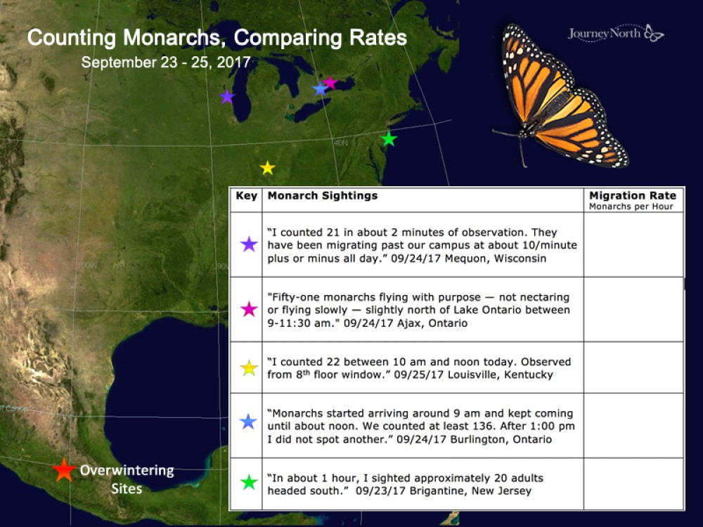 Map of Monarch Butterfly Peak Migration Sightings