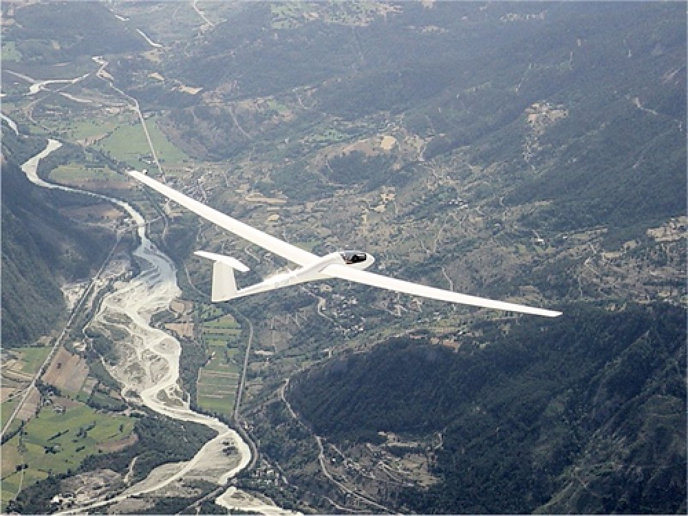 The highest monarchs ever reported were seen by a glider pilot soaring 11,000 feet above the earth.