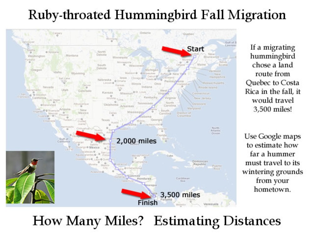 Estimating Distances to the Wintering Grounds