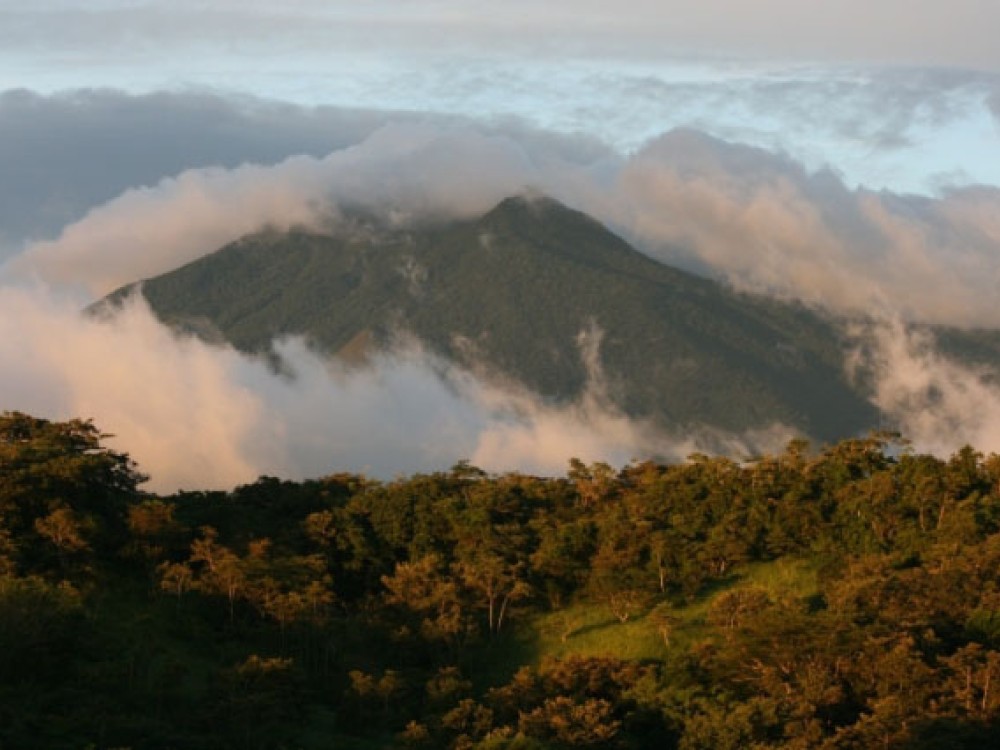 Image: Miravalles Volcano