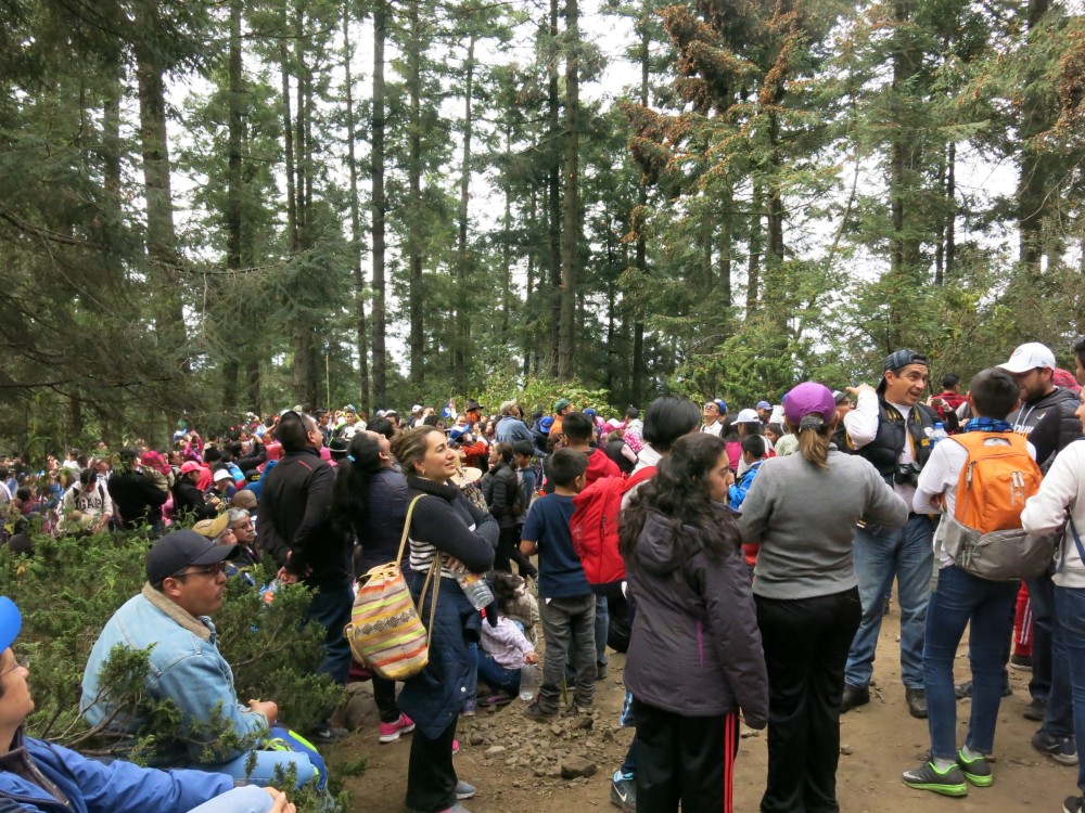 The site became filled with spellbound visitors, and by noon time, the waves of tourists increased impressively.   