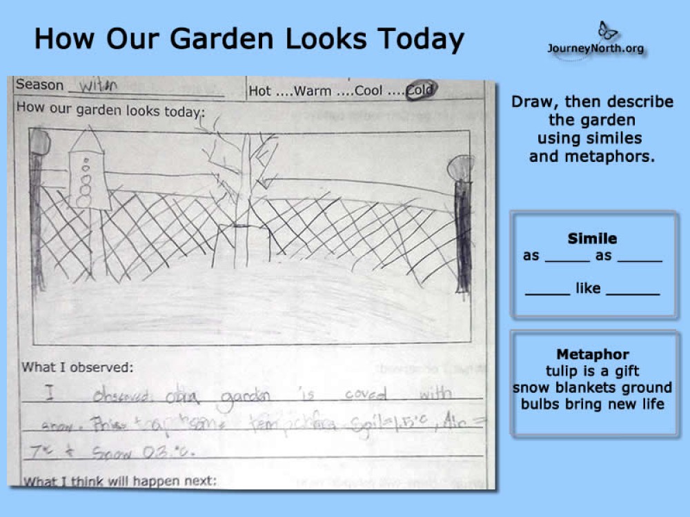 A sketch of the garden setting today