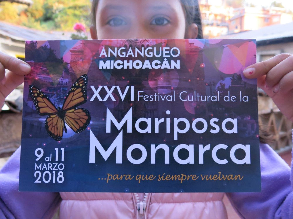 Monarch Butterflies at El Rosario Sanctuary in Mexico