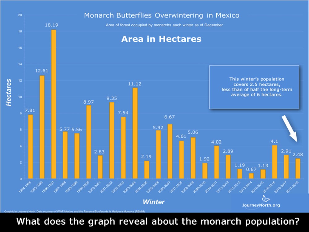 Graph: Compare Monarch Butterfly Winter Population Size