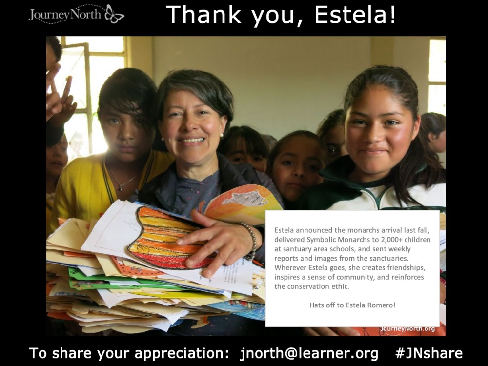 Journal Thank You Estela Romero