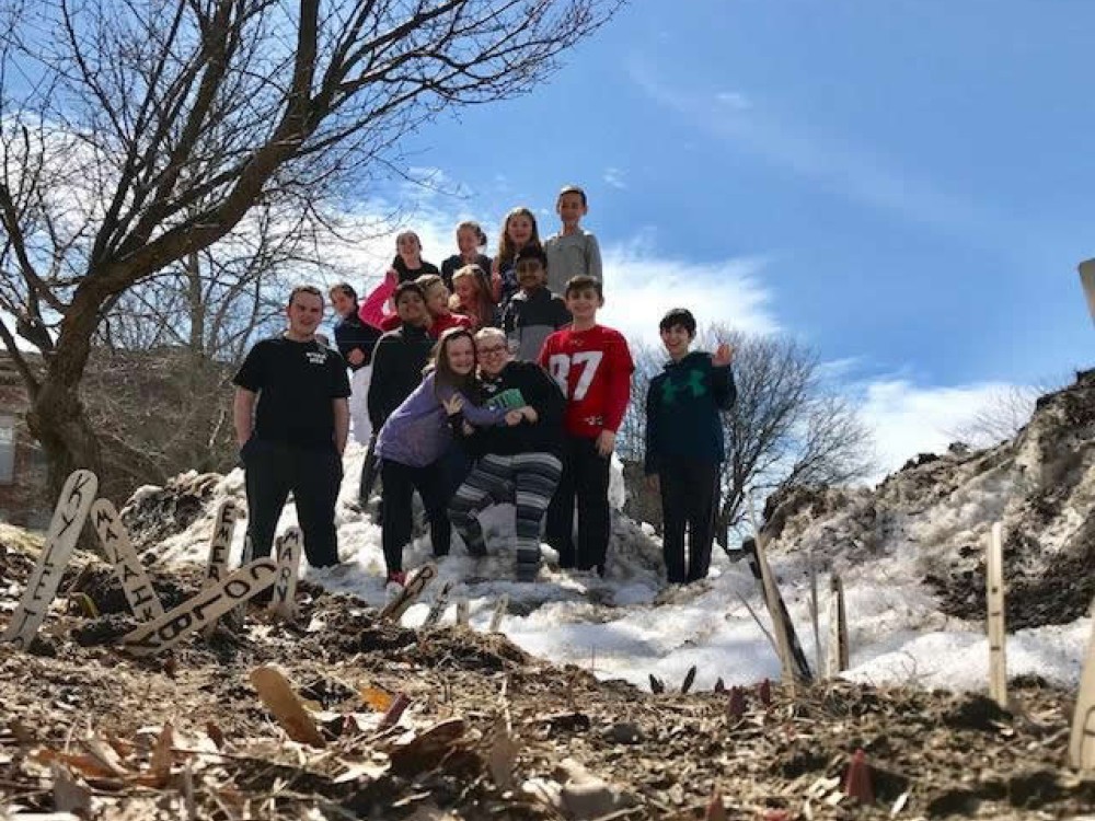 Snow pile with emerging tulips below