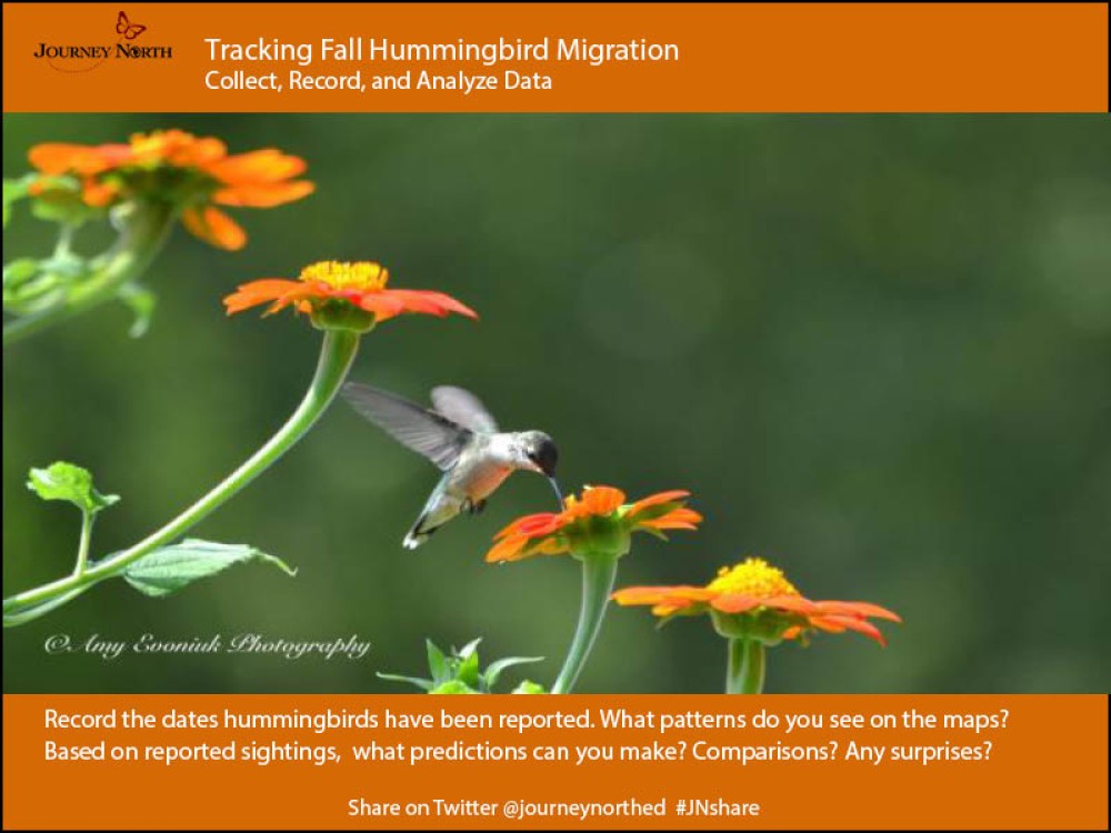 Analyzing Migration Data