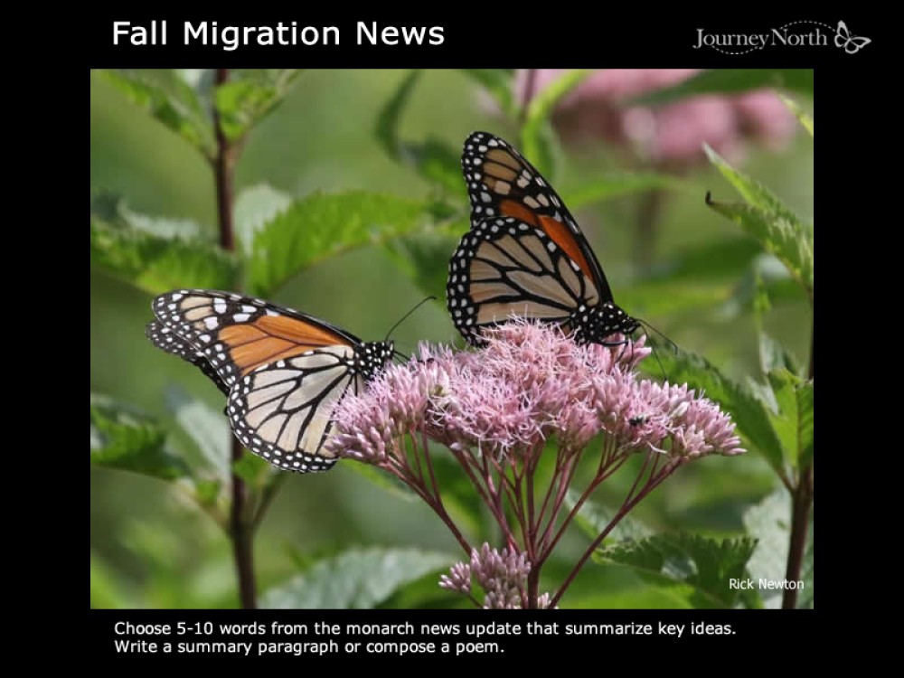 Read the News