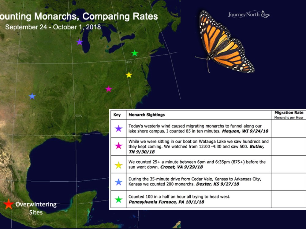 Journal: Comparing Migration Rates