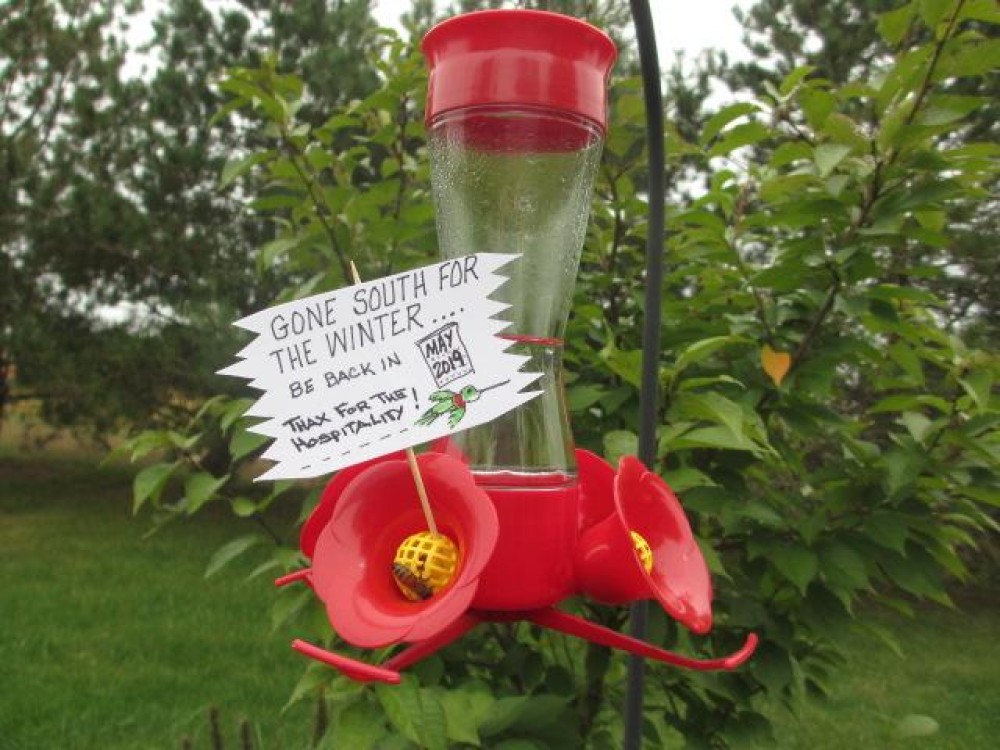 Hummingbird Feeder Getting Ready For Winter