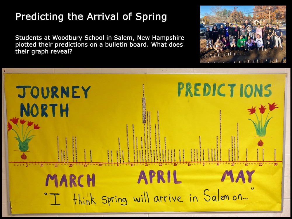  Prediction Timeline
