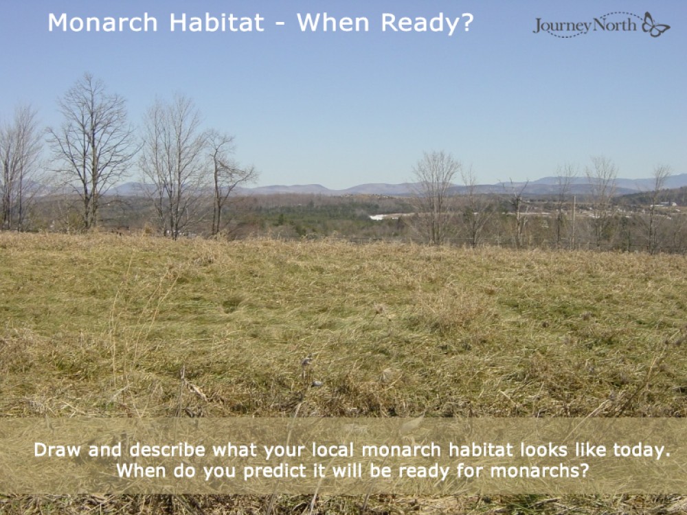 Habitat Predictions - When Ready?