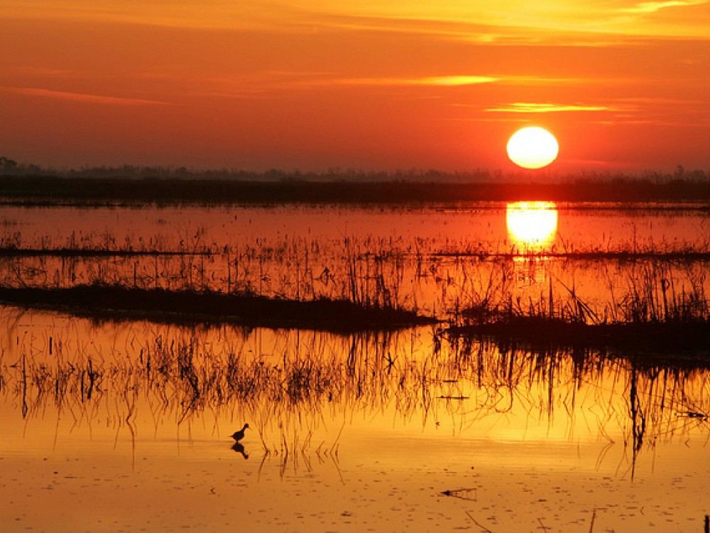 Sunrise
