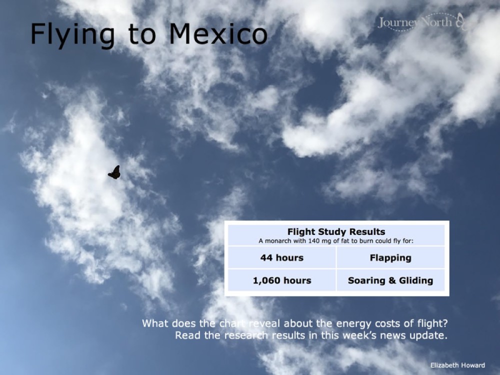 flight energy costs